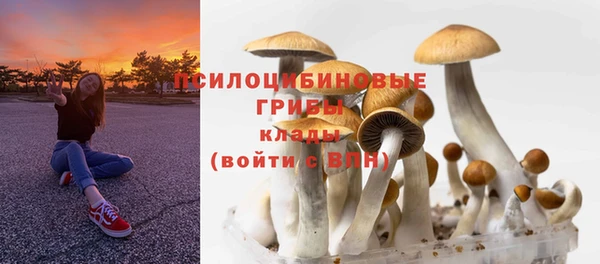 PSILOCYBIN Алексин