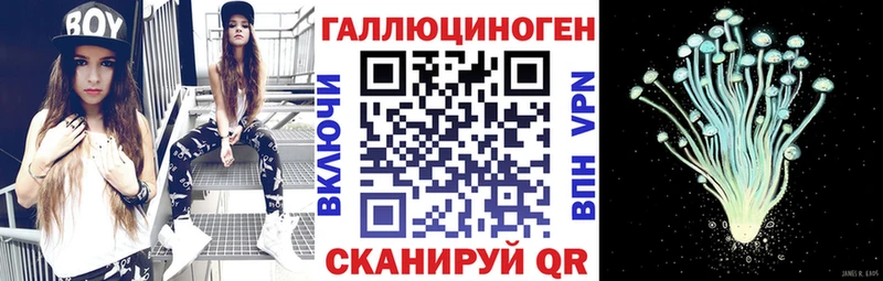 Псилоцибиновые грибы GOLDEN TEACHER  дарк нет наркотические препараты  Макушино 